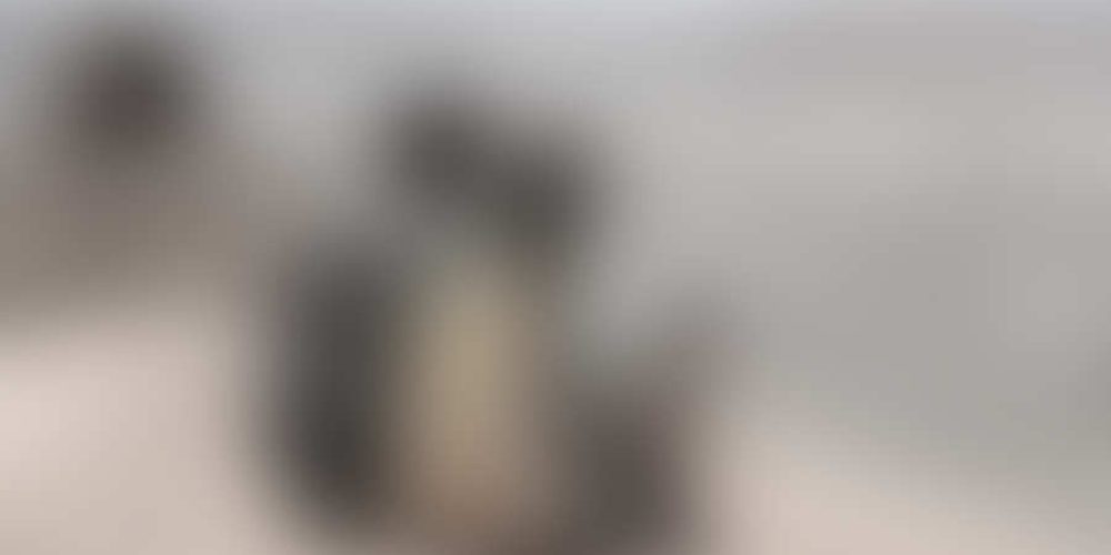 Build your own website easily